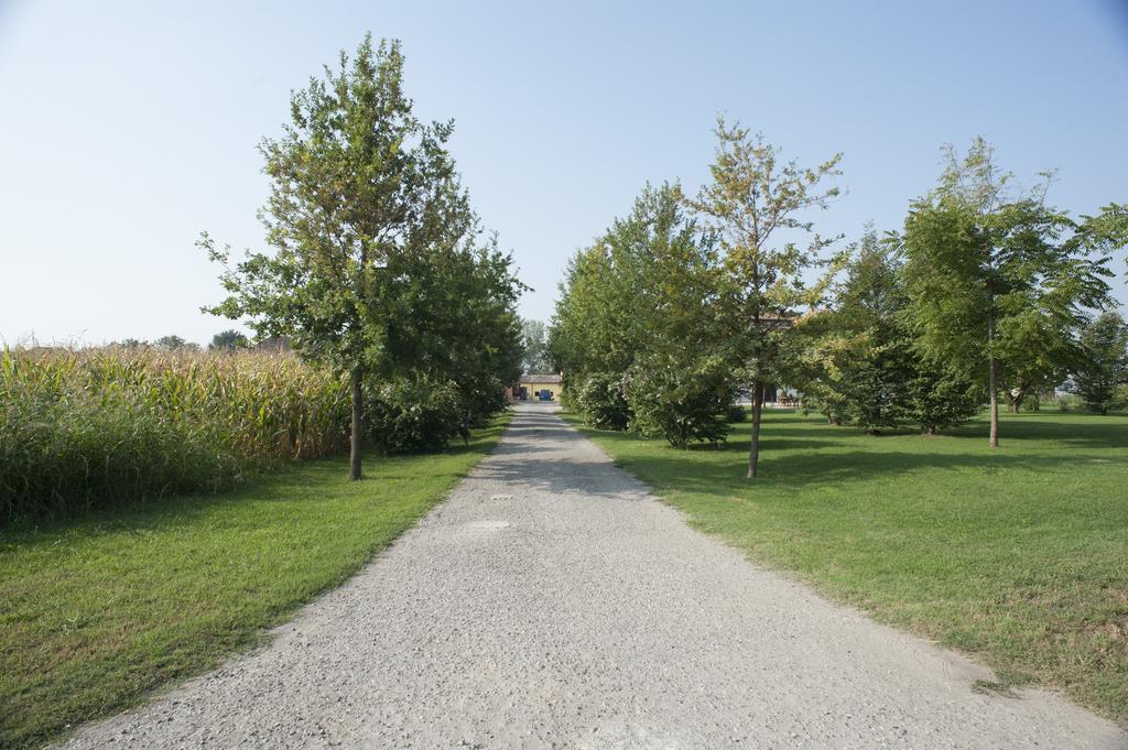 Agriturismo Corte Acconi Mantova Exterior photo